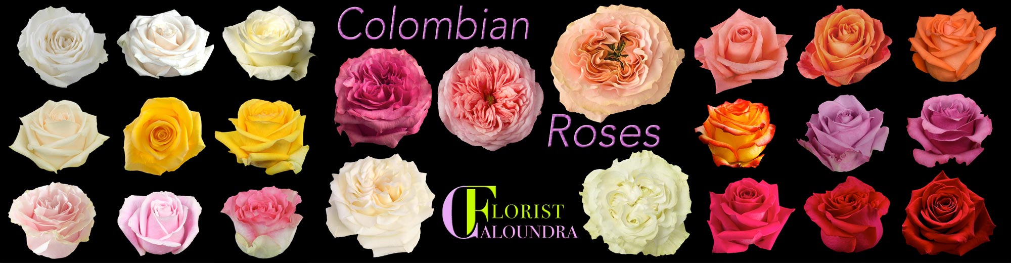 COLOMBIAN ROSES SIMPLE CART